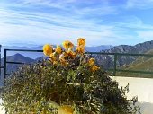 35 Panorama dalla terrazza